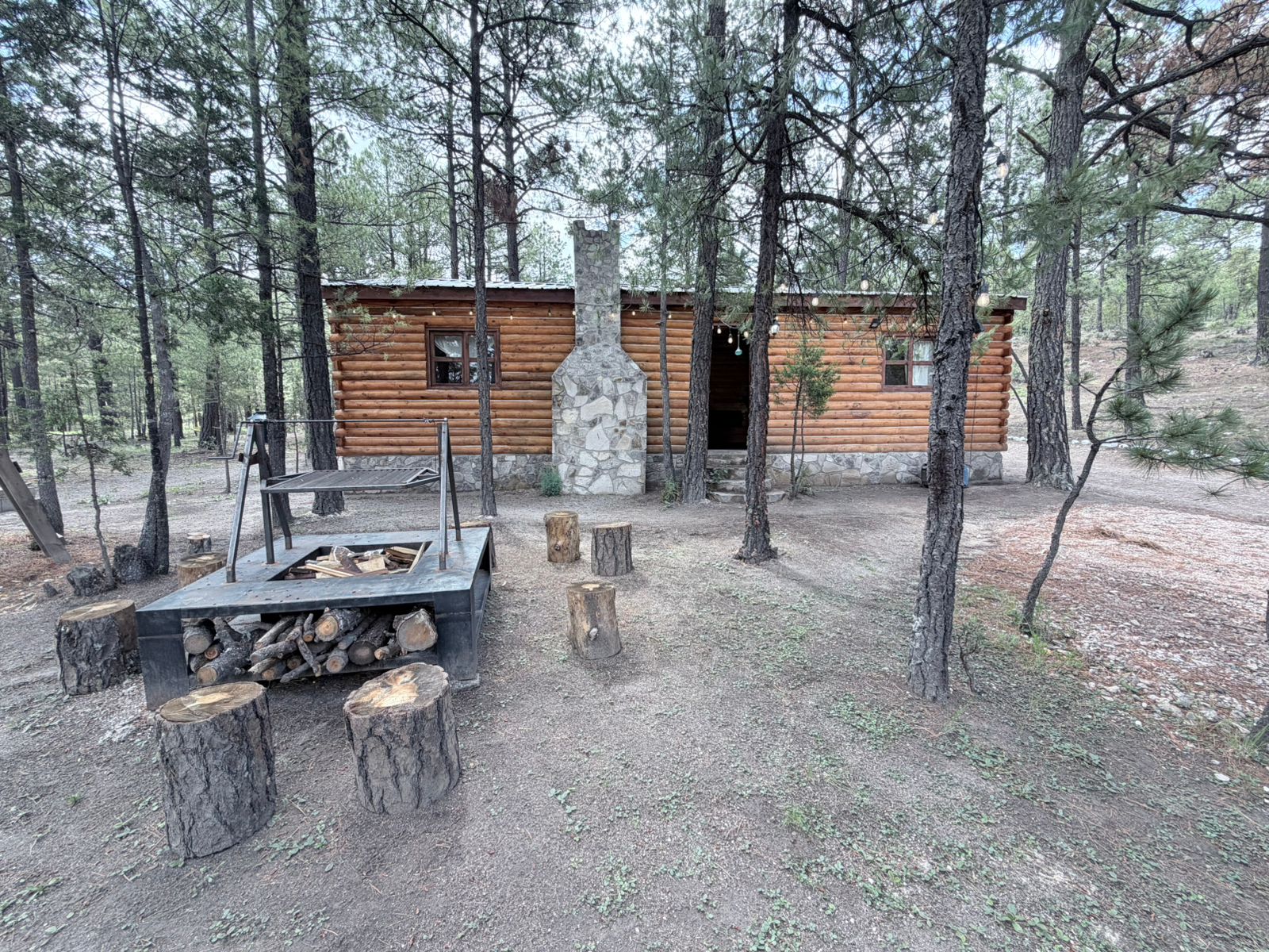 Exterior de la cabaña de madera entre los pinos