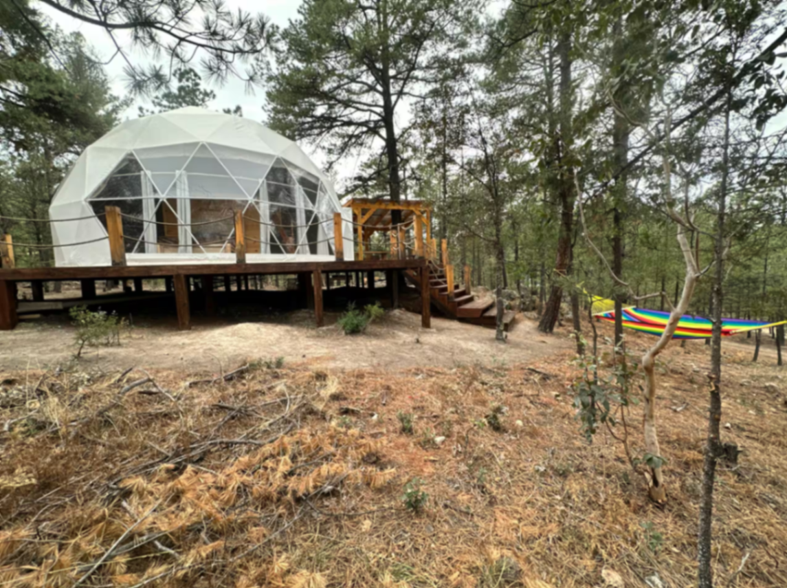 Exterior del domo geodésico entre los pinos
